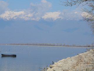 Kerkini See in der Region Serres
