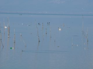 Kerkini See in der Region Serres