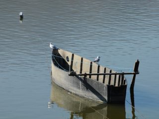 Kerkini See in der Region Serres