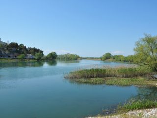Buna River at Lake Shkodra