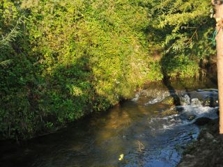 Prince Camperspot in Slovenia