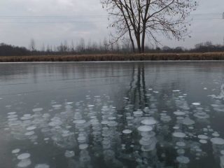 Skating Rhine-Rhone with Patrick Andre