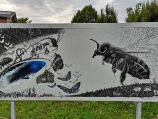 Thalheim - Bienen freundliche Gemeinde