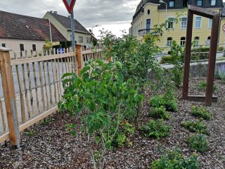 Thalheim - Bienen freundliche Gemeinde