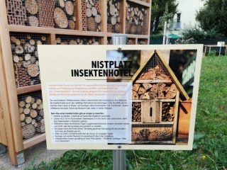 Thalheim - Bienen freundliche Gemeinde