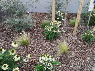 Thalheim - Bienen freundliche Gemeinde