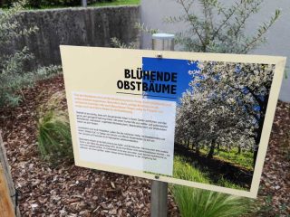 Thalheim - Bienen freundliche Gemeinde