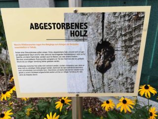 Thalheim - Bienen freundliche Gemeinde