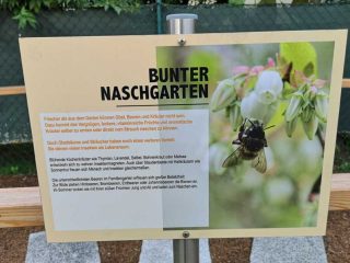 Thalheim - Bienen freundliche Gemeinde