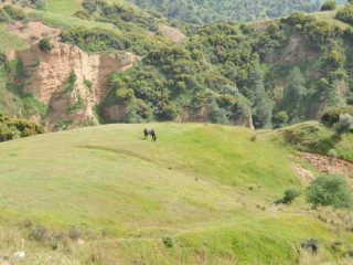 Aydin surrounding places and about history