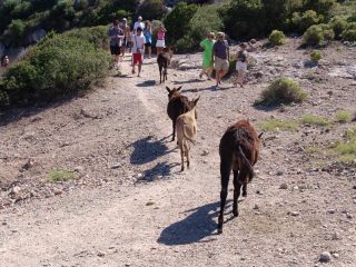 Cesme - boat trip to donkey island