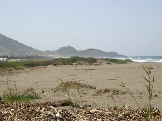 Gazipasa - Life at the Seaside