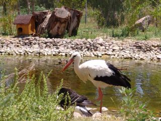 Zoologischer Garten Izmir