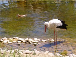 Zoologischer Garten Izmir