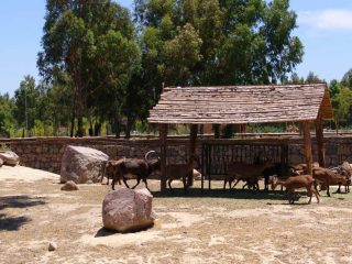 Zoologischer Garten Izmir