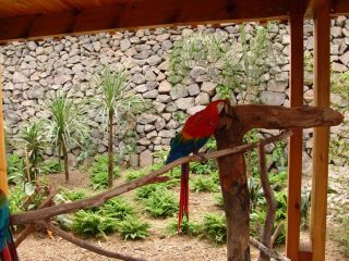Zoologischer Garten Izmir