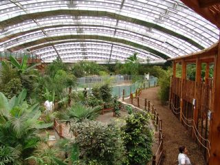 Zoologischer Garten Izmir