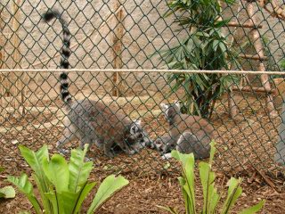 Zoologischer Garten Izmir