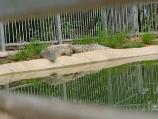 Zoologischer Garten Izmir