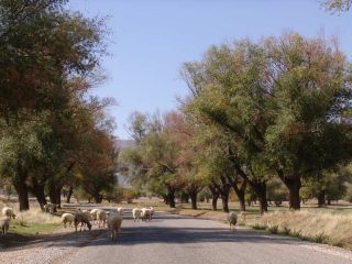 Some impressions from Kizilca Village