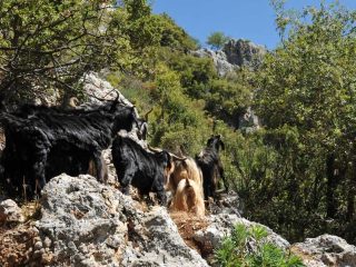 Hiking to Kyaneai