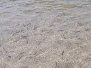 Ölüdeniz Fethiye