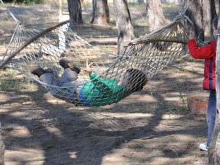 Oezdere Vater & Sohn Camping