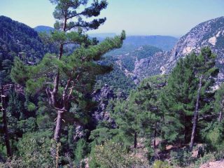 Ormana Taurusblick