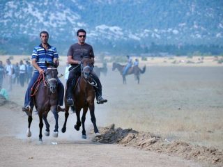 Ormana Rahvan Pferde
