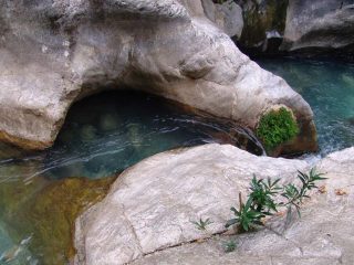 Sapadere Canyon bei Alanya