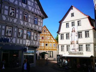 Waiblingen Altstadt & Remsinseln