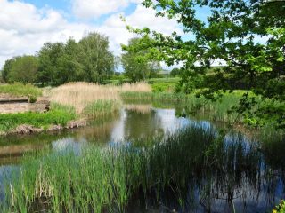 Riesige Wasserburganlage bei Heldungen