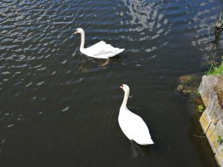 Riesige Wasserburganlage bei Heldungen