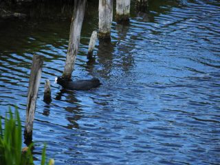 Riesige Wasserburganlage bei Heldungen