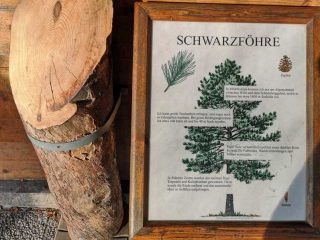 Interessante Punkte beim Wandern im Wiener Wald
