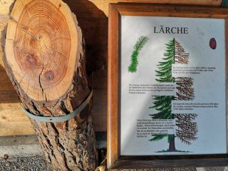 Interessante Punkte beim Wandern im Wiener Wald