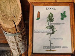 Interessante Punkte beim Wandern im Wiener Wald
