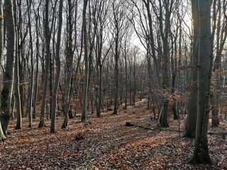 Interessante Punkte beim Wandern im Wiener Wald