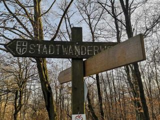 Interessante Punkte beim Wandern im Wiener Wald