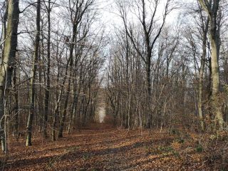 Interessante Punkte beim Wandern im Wiener Wald
