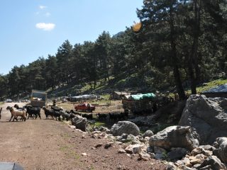 Yörük - nomadic goatherds in the Taurus