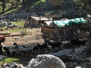 Yörük - nomadic goatherds in the Taurus