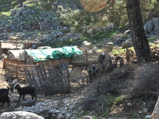 Yörük - nomadic goatherds in the Taurus