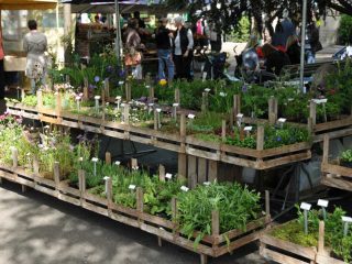 Weekly Streetmarkets in Zurich