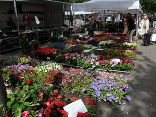 Weekly Streetmarkets in Zurich