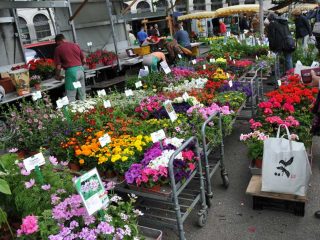 Weekly Streetmarkets in Zurich