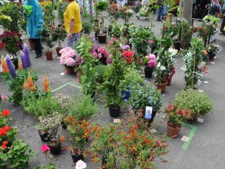 Weekly Streetmarkets in Zurich
