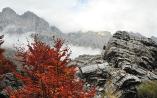 Valbona - mountain settlement in the valley of the same name