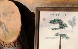 Jubiläumswarte Vienna - a Sunday walk through the Vienna Woods