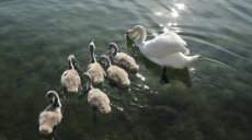 Struga – First Canoe Trip on Lake Ohrid